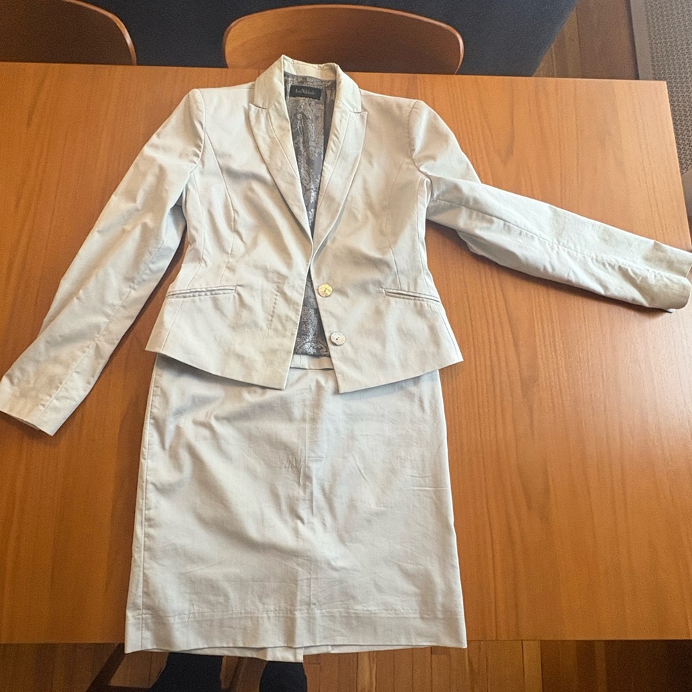 Ivo Nikkolo Women's Light Gray Pin Striped Blazer and Skirt Set